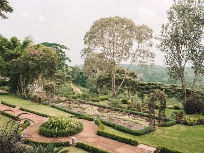 Gibbs-Farm-Bustani-House-garden.jpg.crdownload