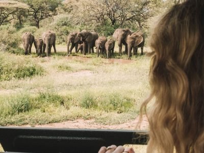 Gibbs-Farm-Elephant-viewing-in-ngorongoro-crater