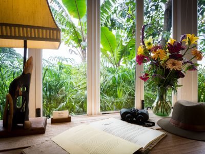 Gibbs-Farm-cottage-desk-with-a-view