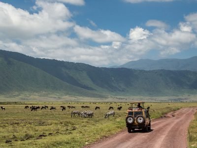 Gibbs-Farm-game-Drive-1