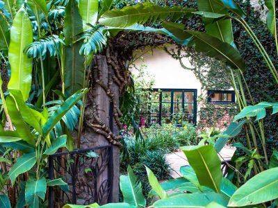 Gibbs-Farm-garden-outside-restaurant