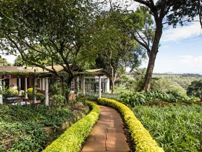 Gibbs-Farm-restaurant-path-1