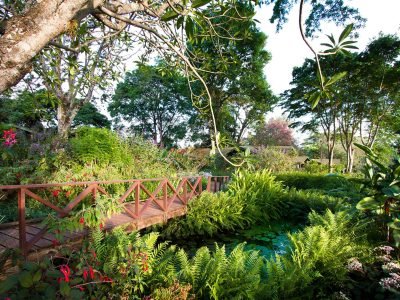 Gibbs-Farm-tropical-gardens111