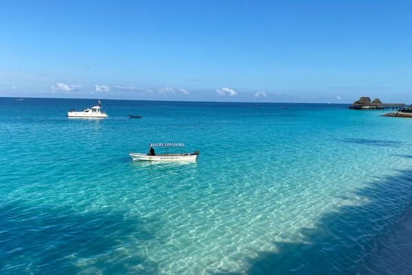 WhatsApp Image 2025-04-30 at 11.21.53_0b7761a9 WhatsApp Image 2025-04-30 at 11.21.53_0b7761a9