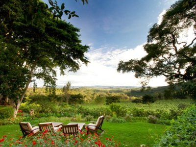 accommodatie-ngorongoro-krater-gibbs-farm00012