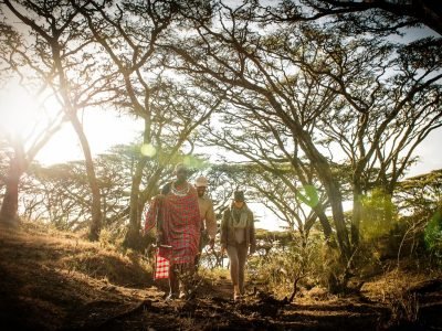 entamanu-ngorongoro-627645-original