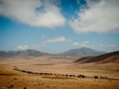 entamanu-ngorongoro-627650-original