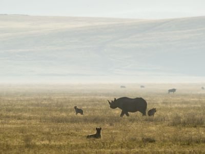 entamanu-ngorongoro-627651-original
