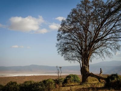 entamanu-ngorongoro-627653-original